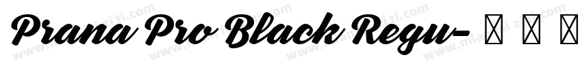 Prana Pro Black Regu字体转换